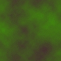 050207 (24)